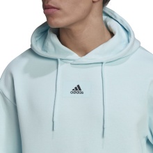 adidas Kapuzenpullover Essentials Feelvivid Baumwolle hellblau Herren